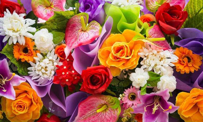 Faz o teste psicológico das flores, e descobre mais sobre a 