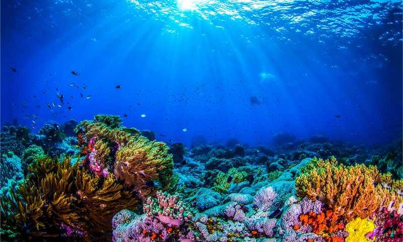 Faz o teste psicológico do mar, e vê qual é o teu desejp ocu