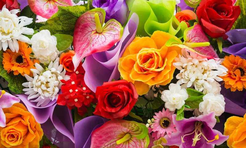 O dia dos Namorados se aproxima: o que flores deves dar?