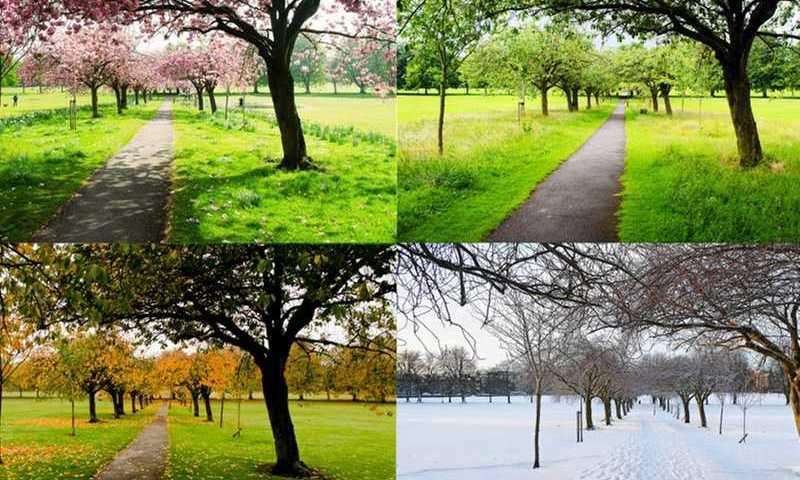 Verão ou inverno? Descubre qual estação melhor te representa